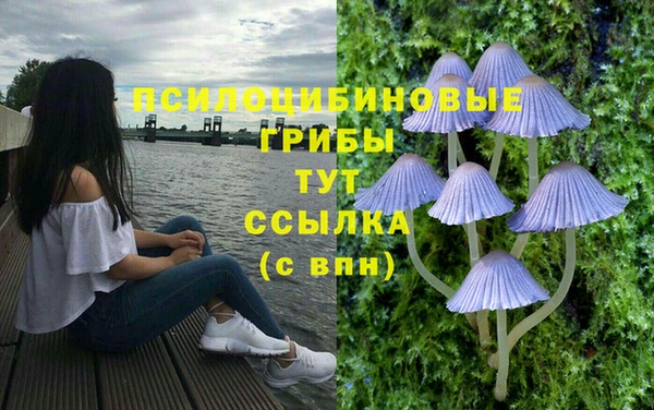 мдпв Медвежьегорск